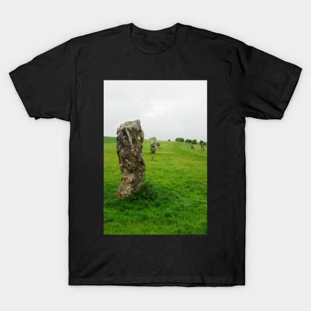 Face in the Stone T-Shirt by RichardGibb